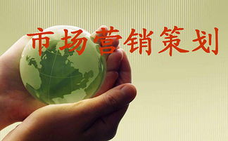 市場營銷策劃 成功品牌的戰略藍圖